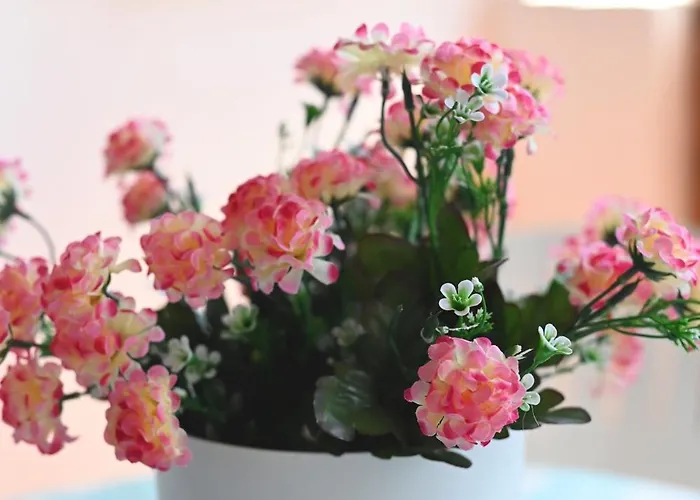 Casa Miralmar Tabaiba * Tías