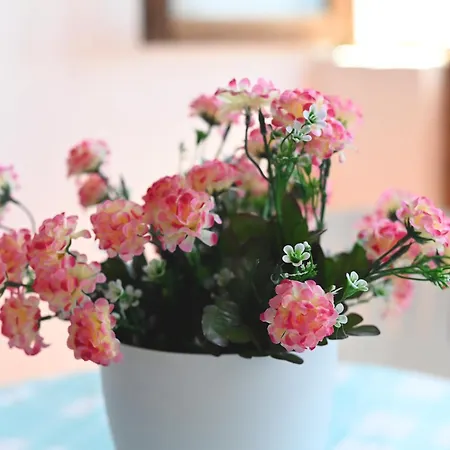 Casa Miralmar Tabaiba * Tías